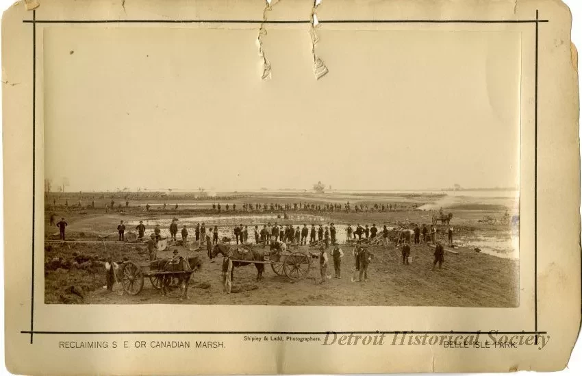 Print, Photographic - Reclaiming SE or Canadian Marsh