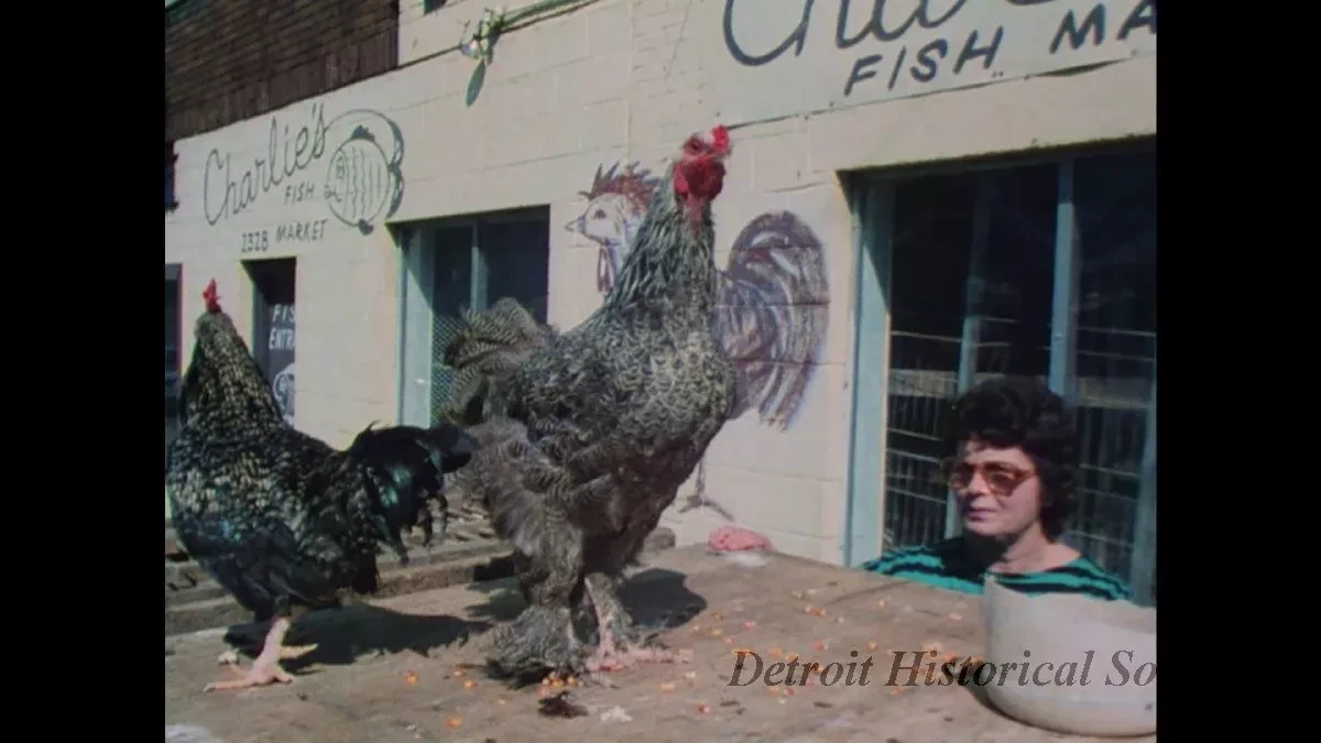 Film, Motion Picture - Urban Comm
Sue City
1 W/P
10508 Neighborhood

Misc Pic's (mos) Neighborhoods
This Is My Home