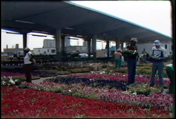 U-Matic - E. Mkt. Flower Day 6-14-83