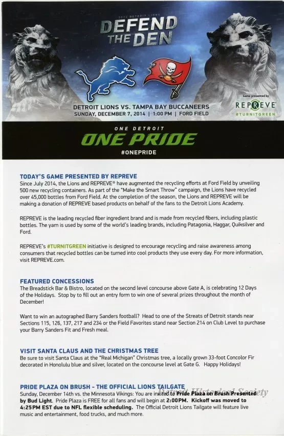 Program - Defend the Den