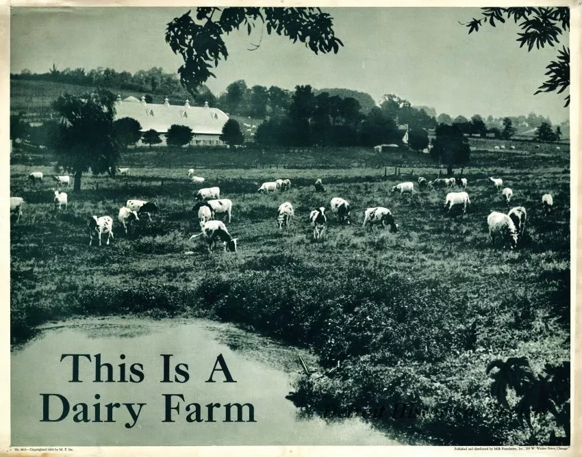 Poster - This Is A Dairy Farm