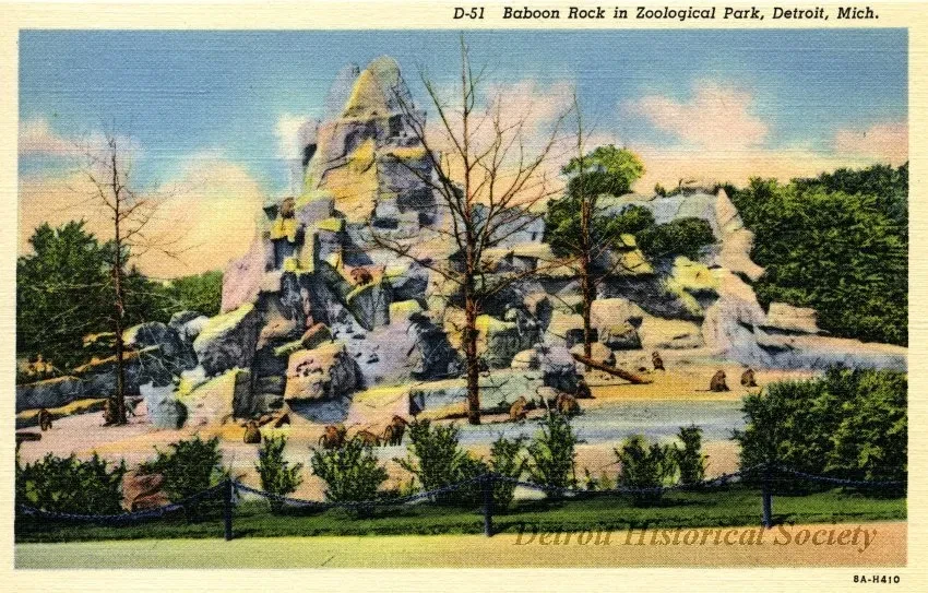 Postcard - D-51 Baboon Rock in Zoological Park, Detroit, Mich.