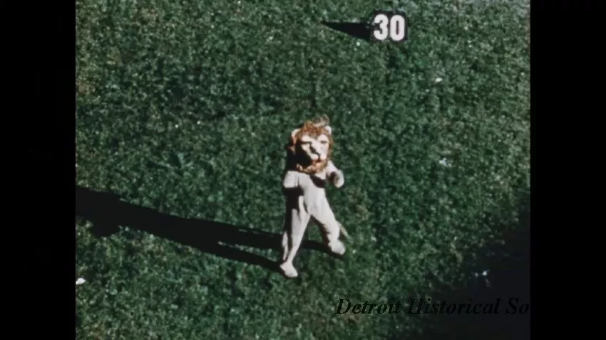 Film, Motion Picture - Detroit Lions 1955 Football Highlights