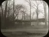 Transparency, Lantern-slide - Drive and Shelter, Belle Isle - Detroit