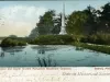 Postcard - Lagoon and Daniel Scotten Monument, Woodmere Cemetery. Detroit, Mich.