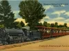Postcard - Miniature Railroad in Zoological Park, Detroit, Mich.