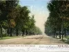 Postcard - Woodward Avenue; South from Willis Avenue. Detroit, Mich.