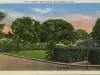 Postcard - A Beauty Spot, Belle Isle, Detroit, Mich.