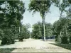 Postcard - Roadway to Zoo, Belle Isle, Detroit, Mich.