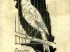 Booklet - Canaries, Cage Birds and Pet Animals
(Royce & Passmore)