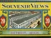 Post Folder - Souvenir Views, Detroit, Mich.