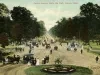 Postcard - Central Avenue, Belle Isle Park, Detroit, Mich.