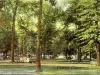 Postcard - Under the Oaks, Belle Isle Park, Detroit, Mich.