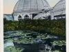 Postcard - Lily Pond and Horticultural Building, Belle Isle, Detroit, Mich.