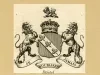 Print - Bristol Coat of Arms