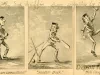 Strip, Comic - Comicalities of the Cricket Field