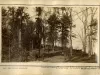 Print, Photographic - East End Pic-Nic Grounds