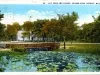 Postcard - 56 Lily Pond and Casino, Palmer Park, Detroit, Mich.