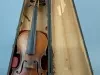 Violin