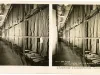 Stereoview