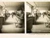 Stereoview