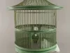 Birdcage
