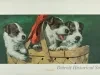 Sign, Advertising - Three Puppies in a Basket